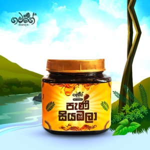 Gamage Pani Siyambala